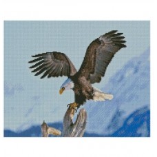 Алмазна картина FA-40779 "Гірський орел 2", розміром 40*50 см