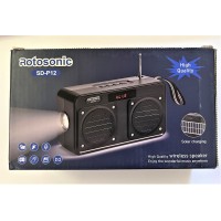 Радіо ліхтарик SD-P11