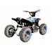 SN-EA54 Дитячий квадроцикл ATV 36V 500W
